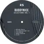 Buddynice – Selections Vol. 1
