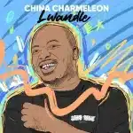 China Charmeleon & Brandon Dhludhlu - Birds Sing (Extended Mix)