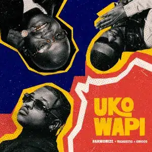 Harmonize, Focalistic & Chicco - Uko Wapi