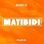 Mayoyo SA - Matibidi