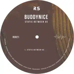 Buddynice - Static Between Us