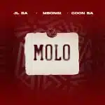 JL SA, Msongi & COON SA - MOLO JL SA, Msongi & COON SA - MOLO