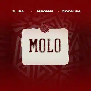 JL SA, Msongi & COON SA - MOLO