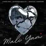 Lesgo 966, SjavasDaDeejay & Musical Xhepard – Mali Yam