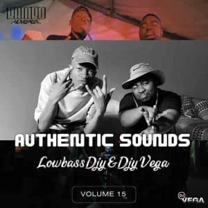 Lowbass Djy & Djy Vega – Authentic Sounds Vol. 15 cover