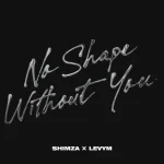 Shimza & LevyM - No Shape Without You Shimza & LevyM - No Shape Without You