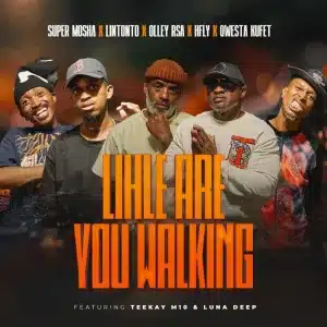 Super Mosha Ottimo, Lintonto, Olley Rsa & HFLY - Lihle Are You Walking ft. Qwesta Kufet, Teekay M10 & Luna Deep
