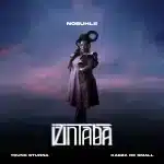 Nobuhle, Kabza De Small & Young Stunna - Izintaba Nobuhle, Kabza De Small & Young Stunna - Izintaba