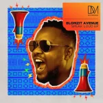 Blomzit Avenue & Chymamusique - Need You Blomzit Avenue & Chymamusique - Need You