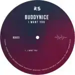 Buddynice - I Want You Buddynice - I Want You