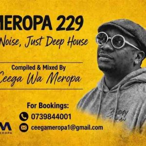 Ceega - Meropa 229 (No Noise, Just Deep House)
