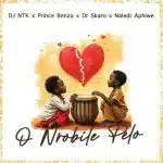 DJ NTK, Prince Benza, Naledi Aphiwe & Dr Skaro - O Nrobile Pelo DJ NTK, Prince Benza, Naledi Aphiwe & Dr Skaro - O Nrobile Pelo