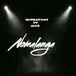 DJ Phat Cat - Nomalanga ft. Ali K