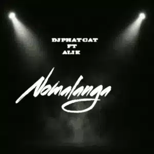 DJ Phat Cat - Nomalanga ft. Ali K