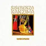 Msongi - Sisebenza Kanzima Msongi - Sisebenza Kanzima
