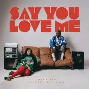Shekhinah & Brandon Dhludhlu - Say You Love Me