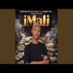 Slyzza Rsa & Mulest Vankay – iMali ft. Leandra.Vert, Nirvana Nokwe