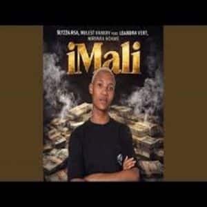 Slyzza Rsa & Mulest Vankay - iMali ft. Leandra.Vert, Nirvana Nokwe