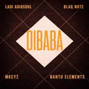 Ladi Adiosoul, Blaq Note, Mkeyz & Bantu Elements - DIBABA
