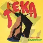 Lesgo 966 & SjavasDaDeejay - Teka