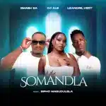 Smash SA, DJ Ale & Leandra.Vert - Somandla ft. Sipho Magudulela