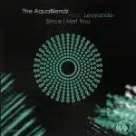 The AquaBlendz & Leoyanda - Since I Met You (Extended Mix)