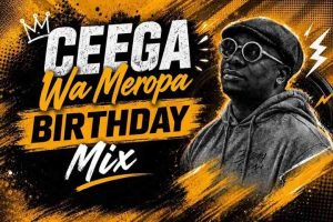Ceega - Meropa 231 (Mr Woolies Birthday Mix) Ceega - Meropa 231 (Mr Woolies Birthday Mix)