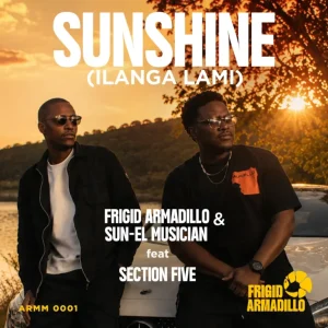 Frigid Armadillo & Sun-El Musician - Sunshine (Ilanga lami) (Vocal Mix) ft. Section Five