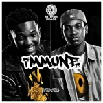 Inter B & Draad - Immune Inter B & Draad - Immune