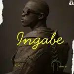 JL SA & Coon SA – Ingabe