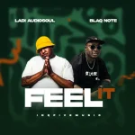 Ladi Adiosoul & Blaq Note – FEEL IT