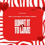 Mac To Xic Deep, DJ DIHNO & InQfive - WHAT IT IS TO LOVE EP