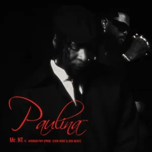 Mr NT - Paulina ft. Afriikan Papi, Jeda Beatz & Slick Widit