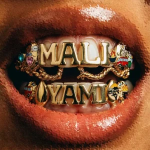 Sir Trill, uDoti uDemedi, Snaka & K-Zaka - Mali Yami ft. Born Kxng & Deestar ZA
