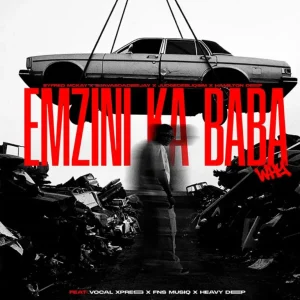 Syfred Mckay, SjavasDaDeejay, JudgeDeBliQSim & Hamilton Deep - Emzini ka Baba ft. Vocal Express, Fns MusiQ & HeavyDeep