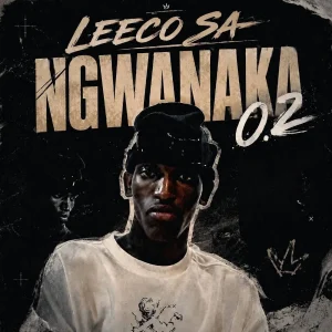 Leeco sa - Ngwanaka 0.2