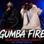 Mellow, Sleazy, Focalistic & Benzoo - Gumba Fire ft. Optimist Music ZA