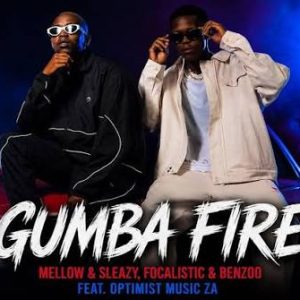 Mellow, Sleazy, Focalistic & Benzoo - Gumba Fire ft. Optimist Music ZA