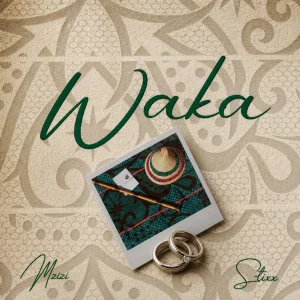 Mzizi & Stixx - Waka