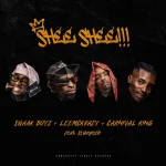 SWAAK BOYZ, Leemckrazy & Carnival King - SHEE SHEE!!! ft. Slungesh SWAAK BOYZ, Leemckrazy & Carnival King - SHEE SHEE!!! ft. Slungesh