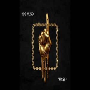 TDS Musiq - Phase 1