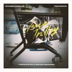 WOODBLOCK DJS & Professor - Ama Trolley ft. Abafana Be Skuta, Mshana & Mzukwase